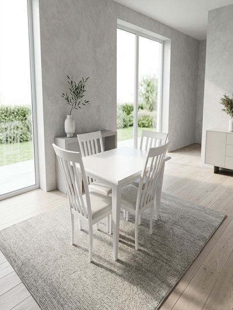 AE-D27-01-25 Dining table with 4 chairs